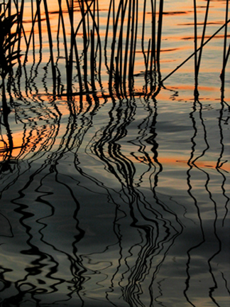 reflections reflections