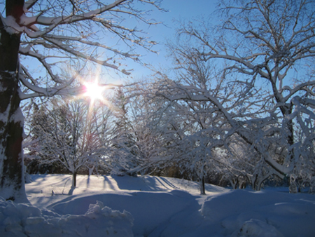 Merry Christmas from Holy Wisdom Monastery 2