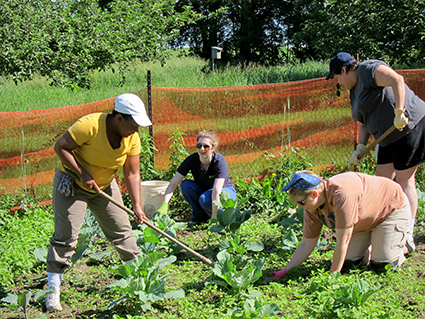 Volunteer-in-Community-at-Holy-Wisdom-Monastery