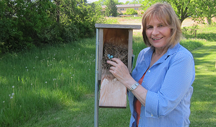 Karen-Bate-bluebird-volunteer