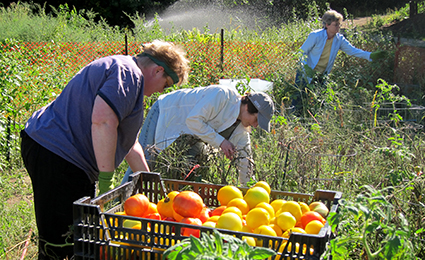 Gardening